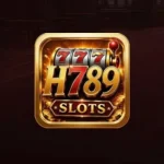 H789 Game