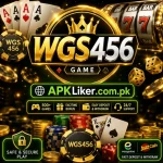 WGS456 Game