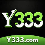 Y333 Game